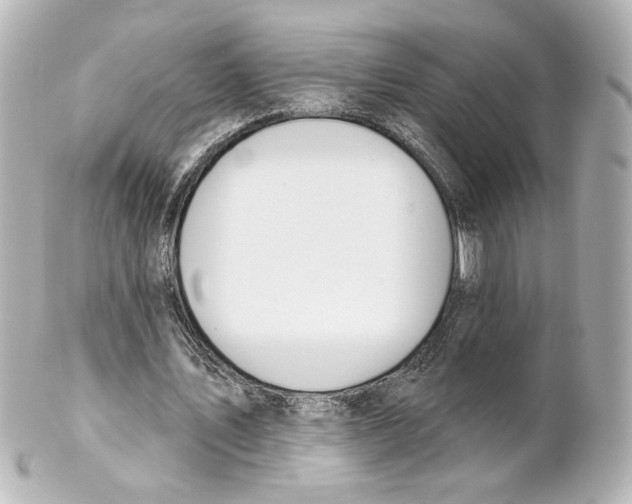 X0000101470579200808041107