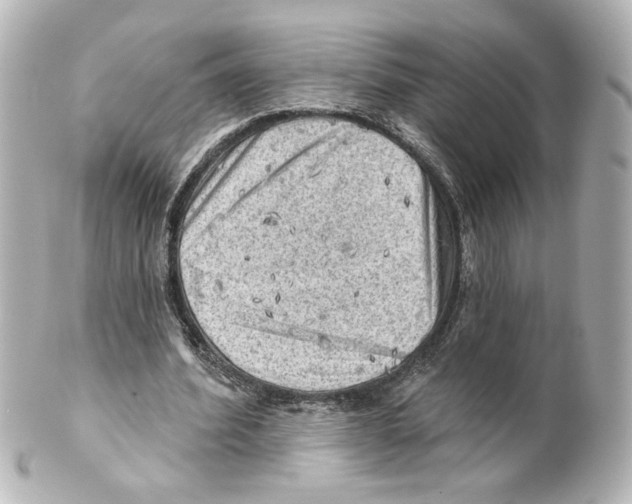 X0000101470580200808041107