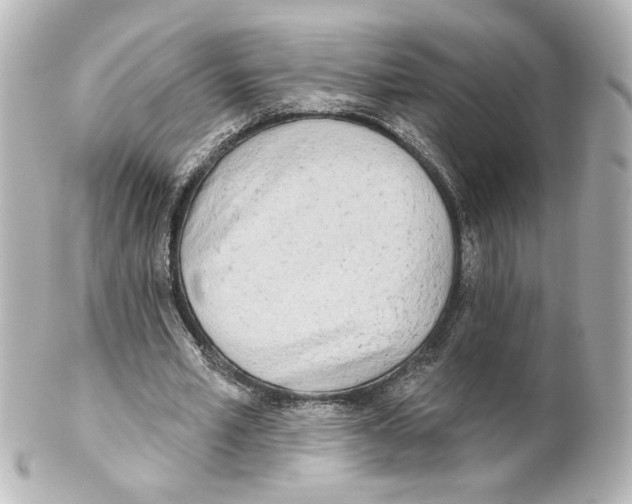 X0000101470581200808041107