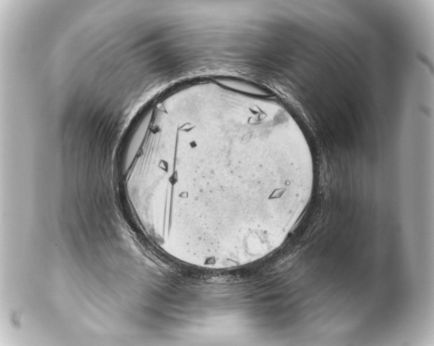 X0000101470584200808041107