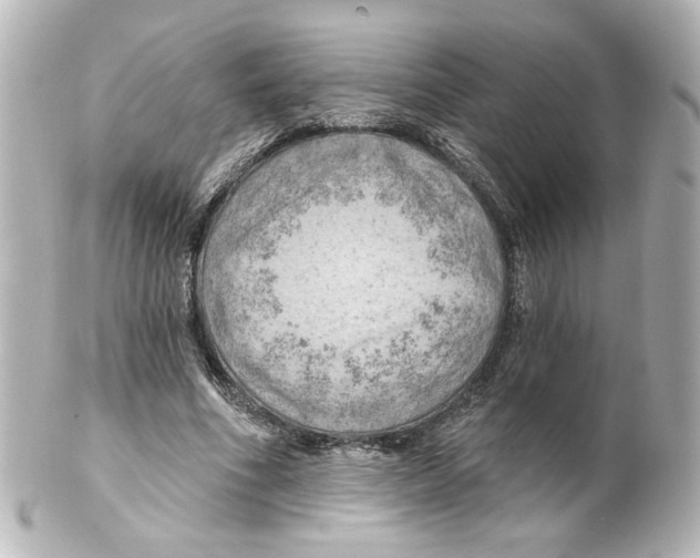 X0000101470586200808041107