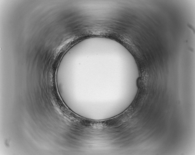 X0000101470587200808041107