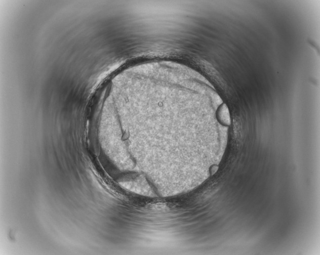 X0000101470588200808041107