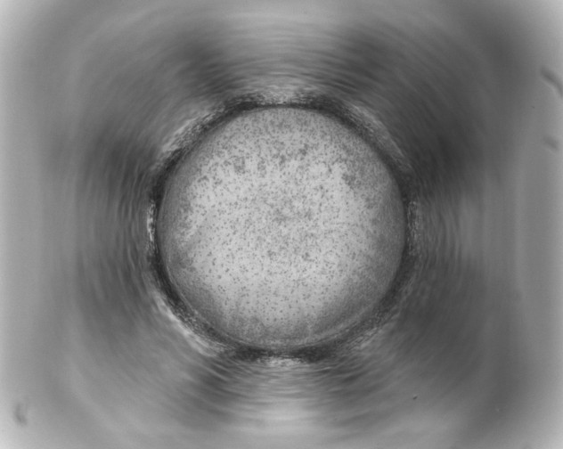 X0000101470590200808041107