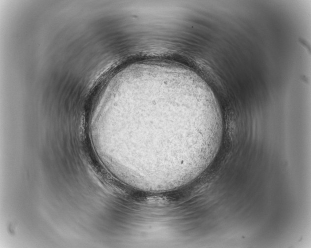 X0000101470591200808041107