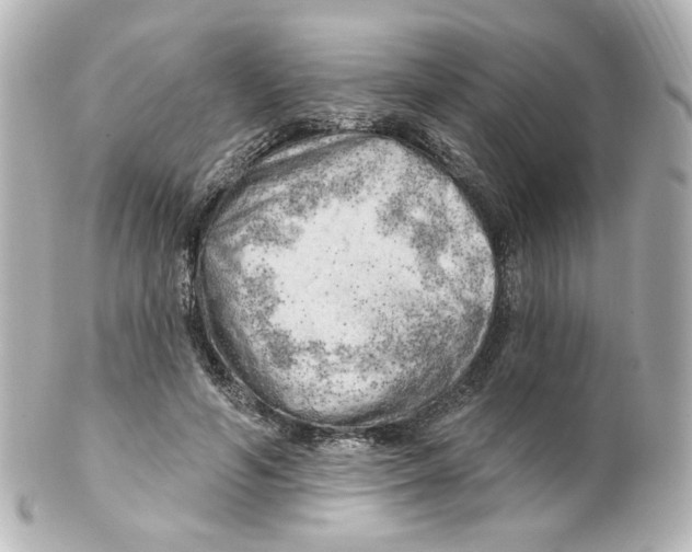 X0000101470594200808041107