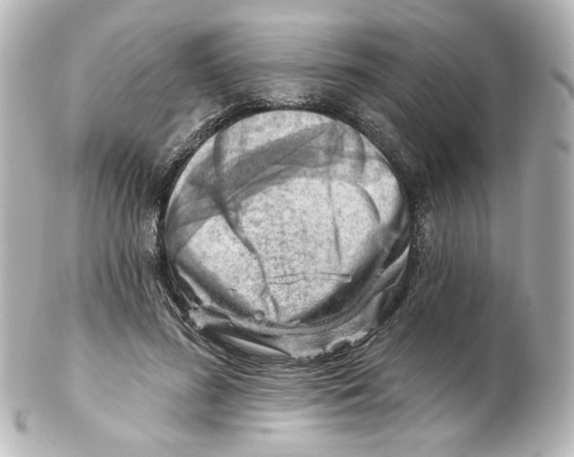 X0000101470596200808041107