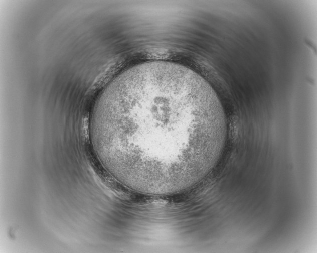 X0000101470598200808041107