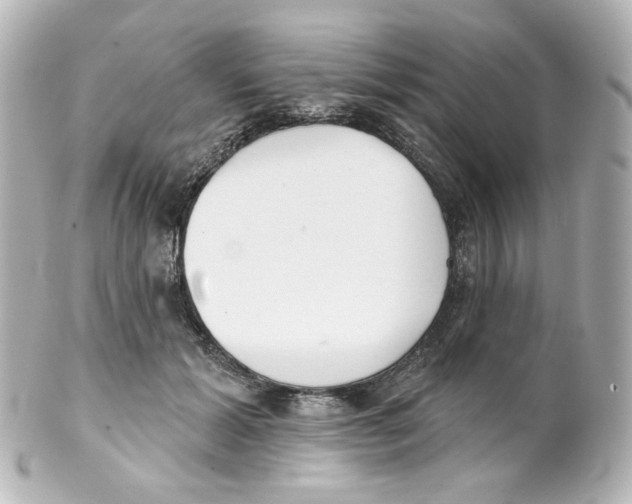 X0000101470605200808041107