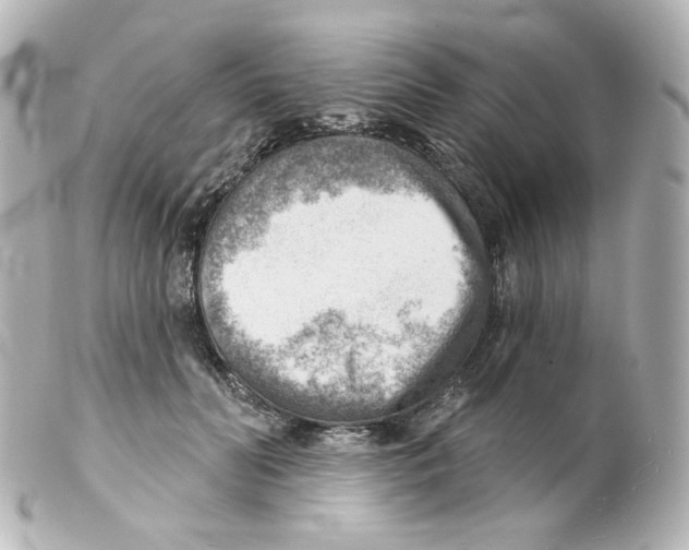 X0000101470606200808041107