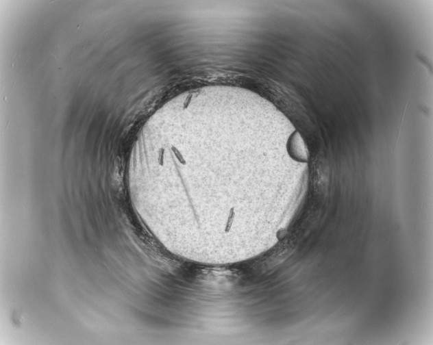 X0000101470607200808041107