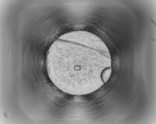 X0000101470608200808041107