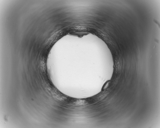 X0000101470609200808041107