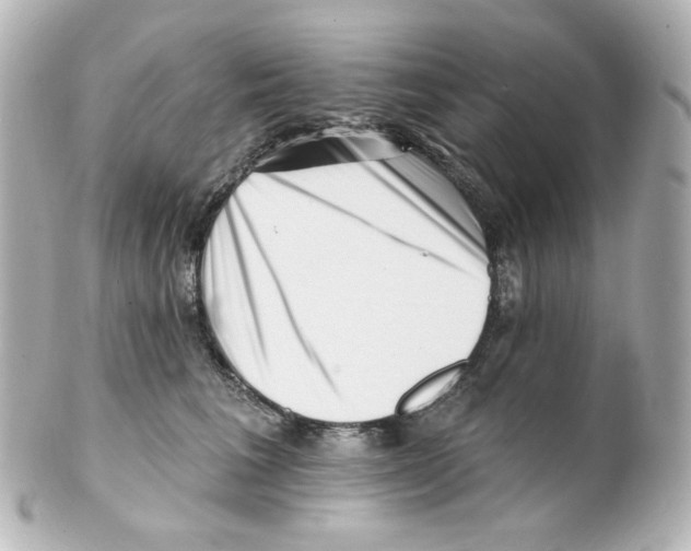 X0000101470613200808041107