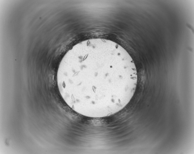 X0000101470615200808041107