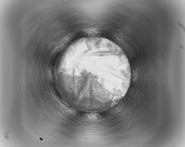 X0000101470618200808041106