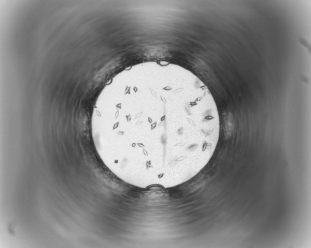 X0000101470619200808041106