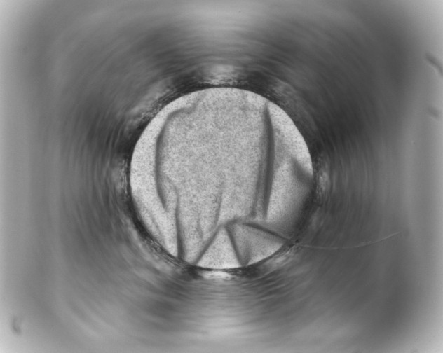 X0000101470620200808041106