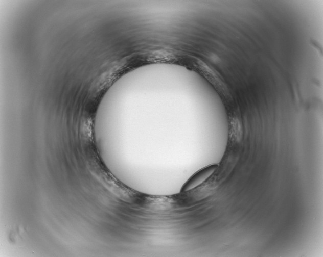 X0000101470621200808041106