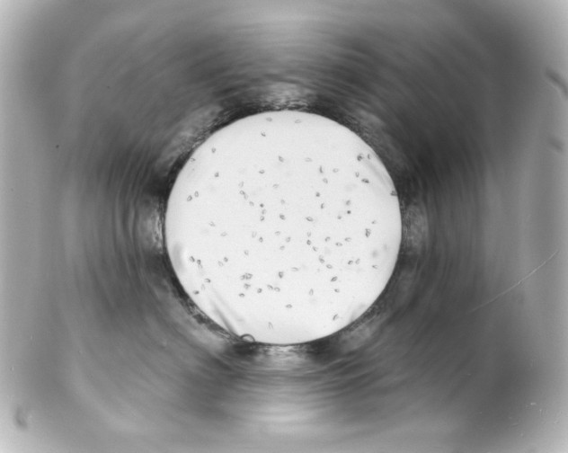 X0000101470622200808041106