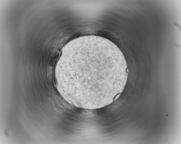 X0000101470624200808041106