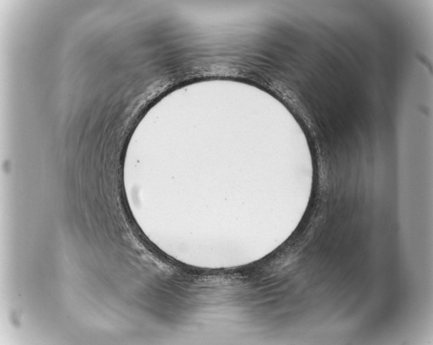 X0000101470625200808041106