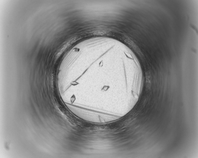 X0000101470626200808041106