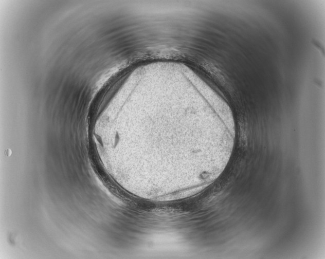 X0000101470630200808041106