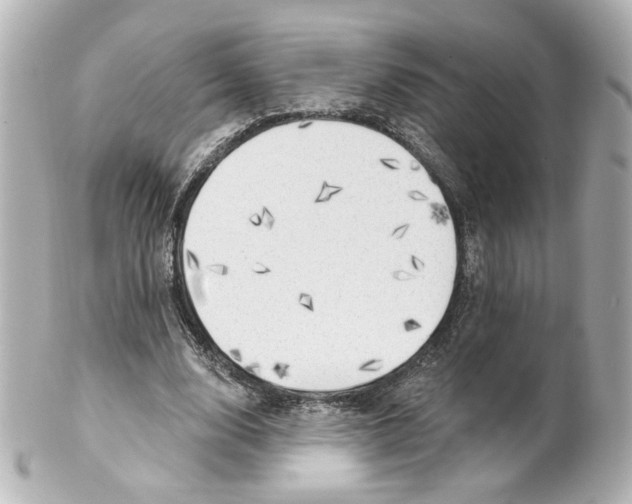 X0000101470632200808041106