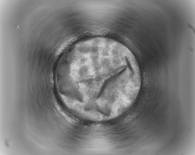 X0000101470634200808041106