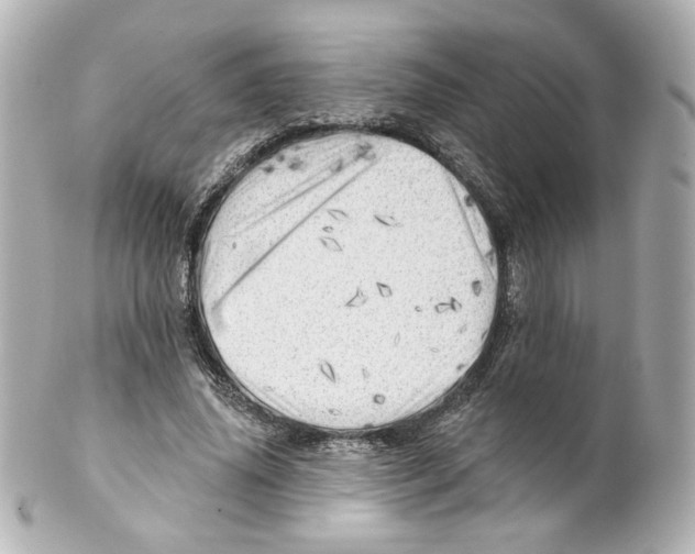 X0000101470636200808041106