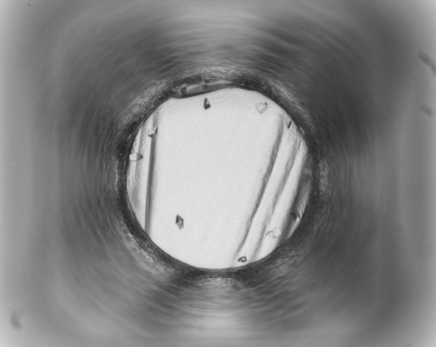 X0000101470637200808041106