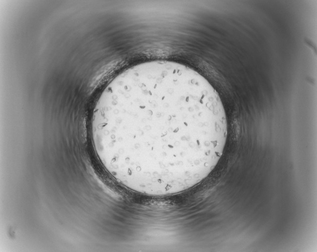 X0000101470638200808041106