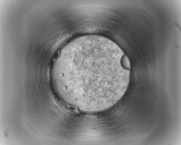 X0000101470640200808041106