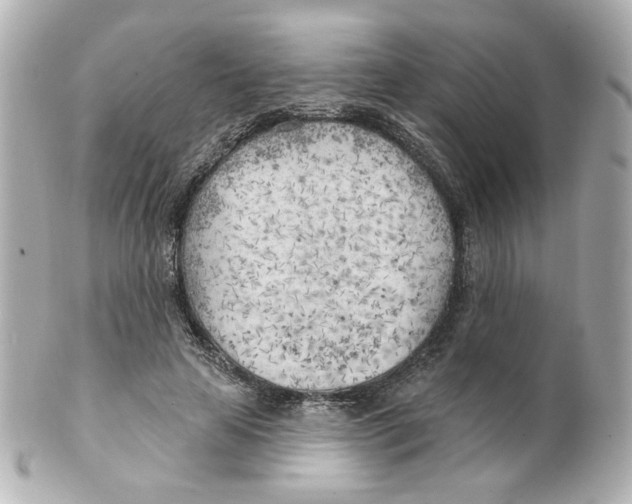 X0000101470641200808041106