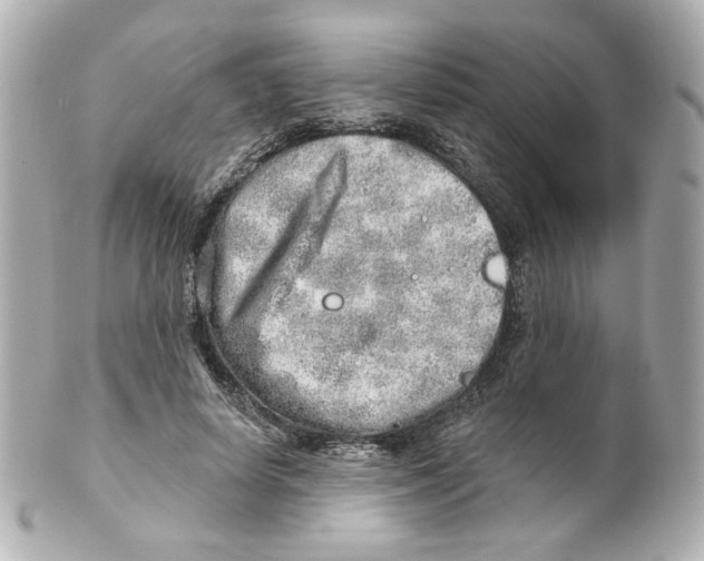 X0000101470642200808041106