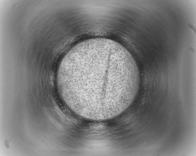 X0000101470643200808041106