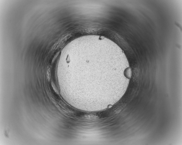 X0000101470644200808041106