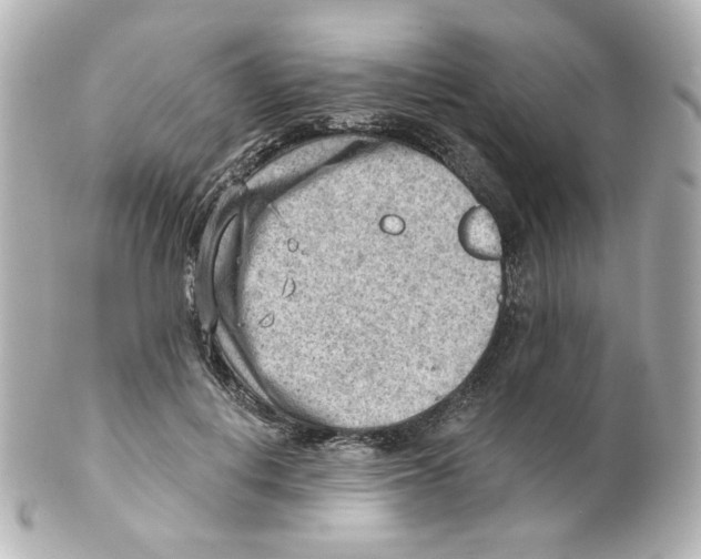 X0000101470648200808041106