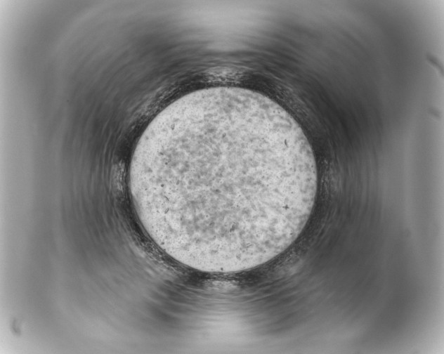 X0000101470649200808041106