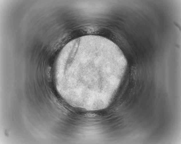 X0000101470650200808041106