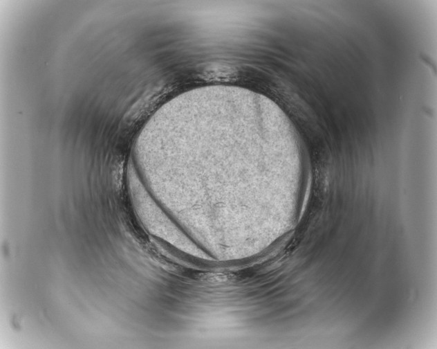 X0000101470652200808041106