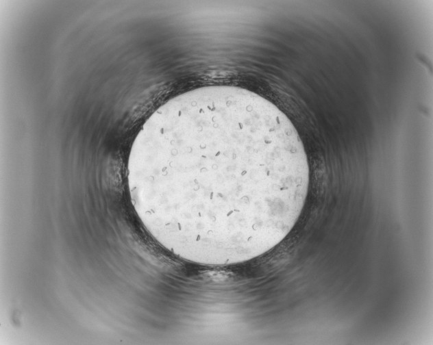 X0000101470654200808041106