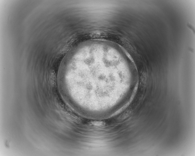 X0000101470659200808041106