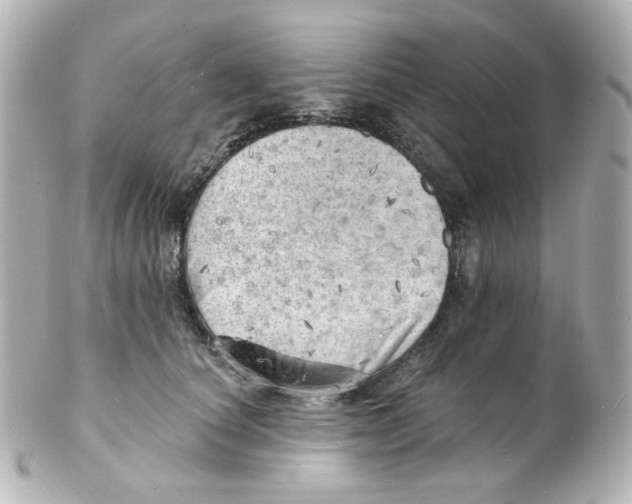 X0000101470660200808041106