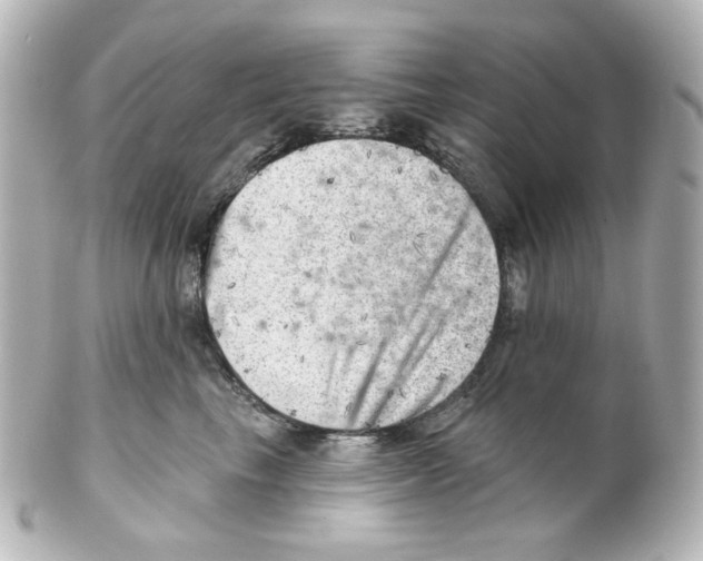 X0000101470665200808041106