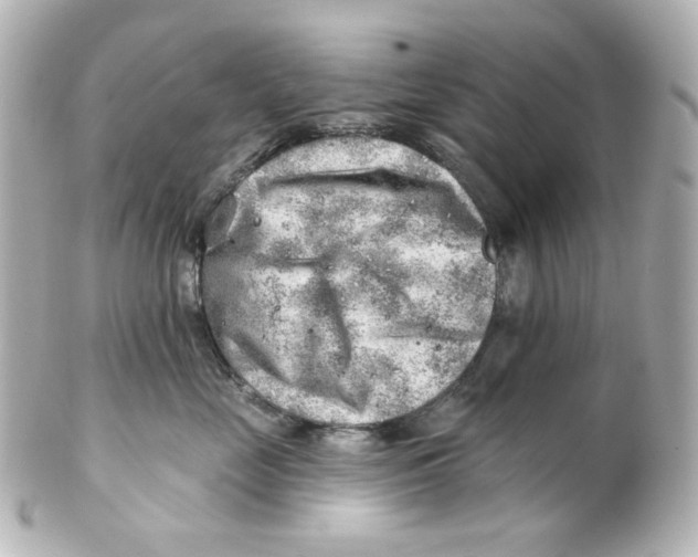 X0000101470669200808041106