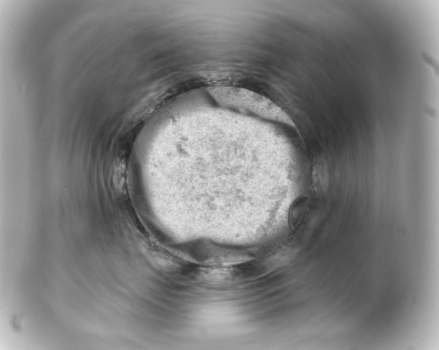 X0000101470671200808041106