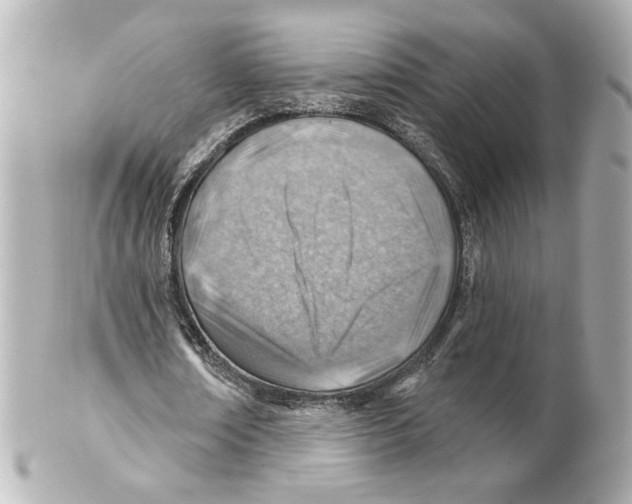 X0000101470674200808041106