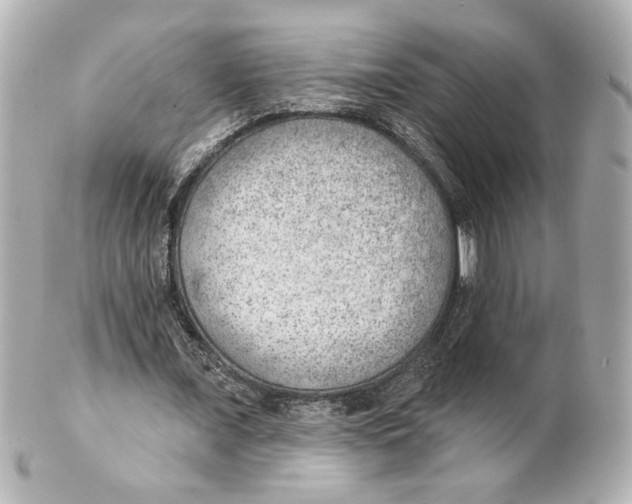 X0000101470675200808041106